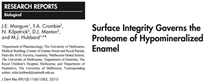 Surface Integrity Governs the
Proteome of Hypomineralized Enamel pic