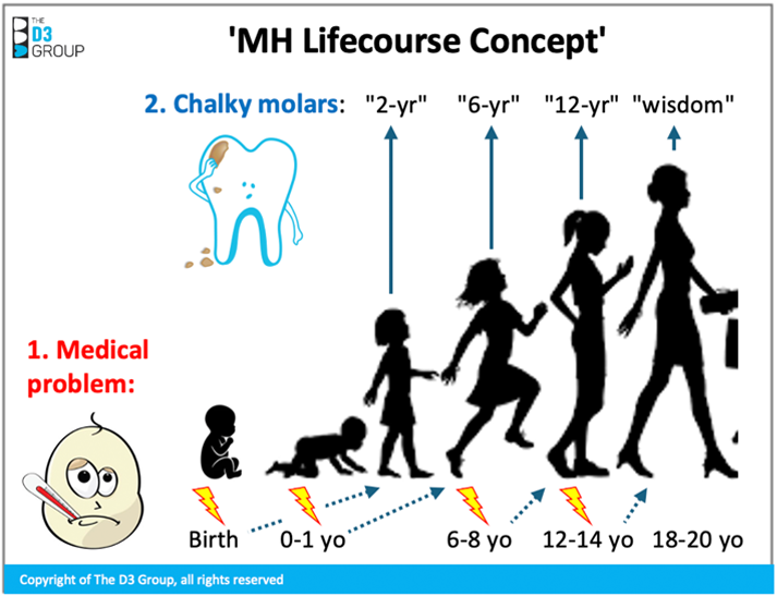 MIH lifecourse concept pic