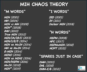 MIH Chaos Theory pic